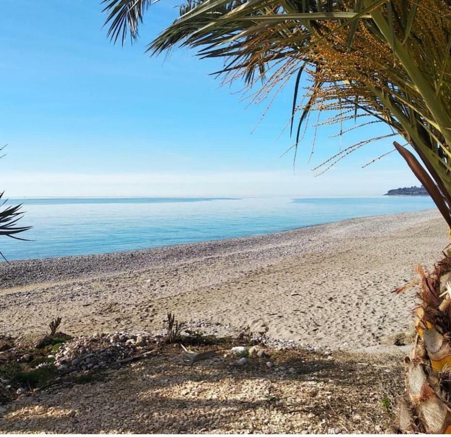 Leon Beach Hotel New Athos Zewnętrze zdjęcie