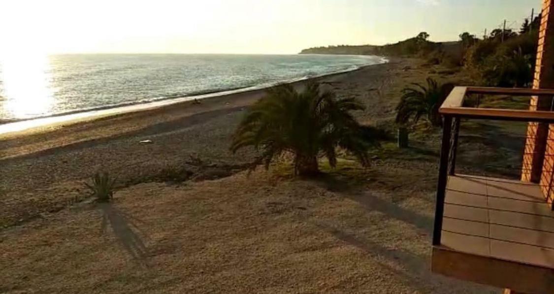 Leon Beach Hotel New Athos Zewnętrze zdjęcie