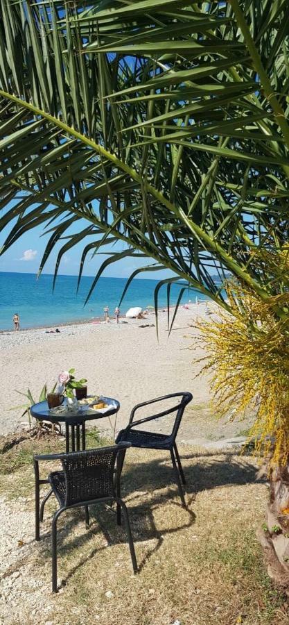 Leon Beach Hotel New Athos Zewnętrze zdjęcie